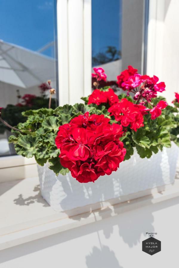 Hybla Major B&B Авола Екстериор снимка
